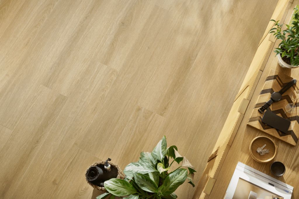CORDOBA OAK